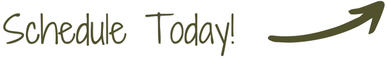 Schedule Today
